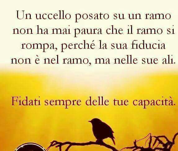 Immagine dal mondo