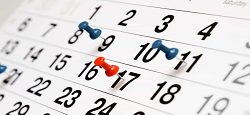 ORGANIZZAZIONE SETTIMANALE